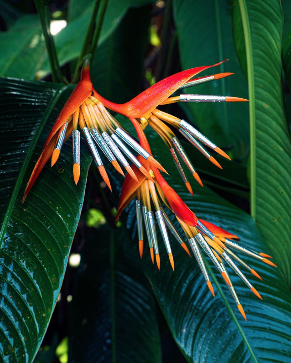 test-pionara-itsnicethat-4.png