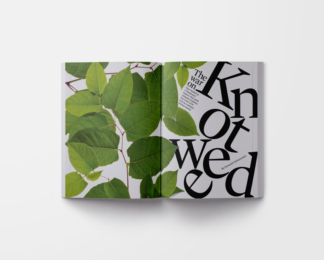 the-guardian-the-long-read-magazine-graphic-design-itsnicethat-026.jpg