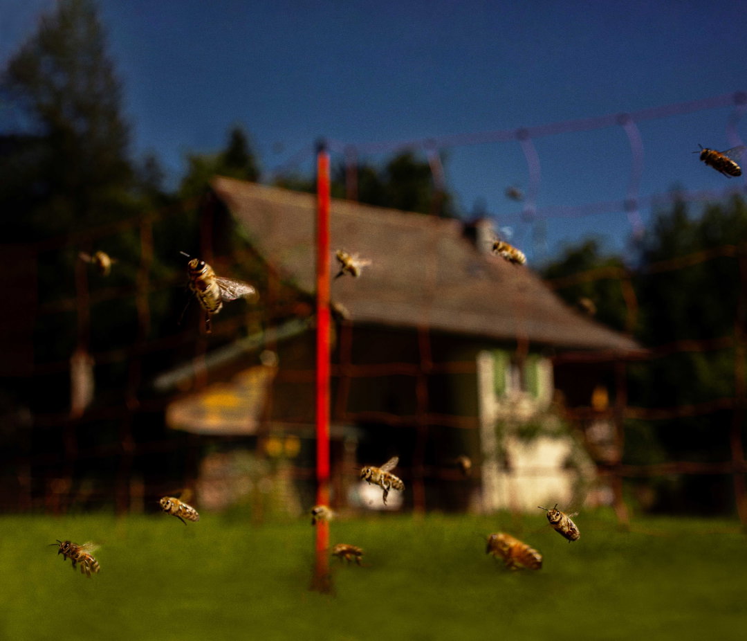 the-next-generation-2021-maewenn-bourcelot-photography-itsnicethat-10.jpg