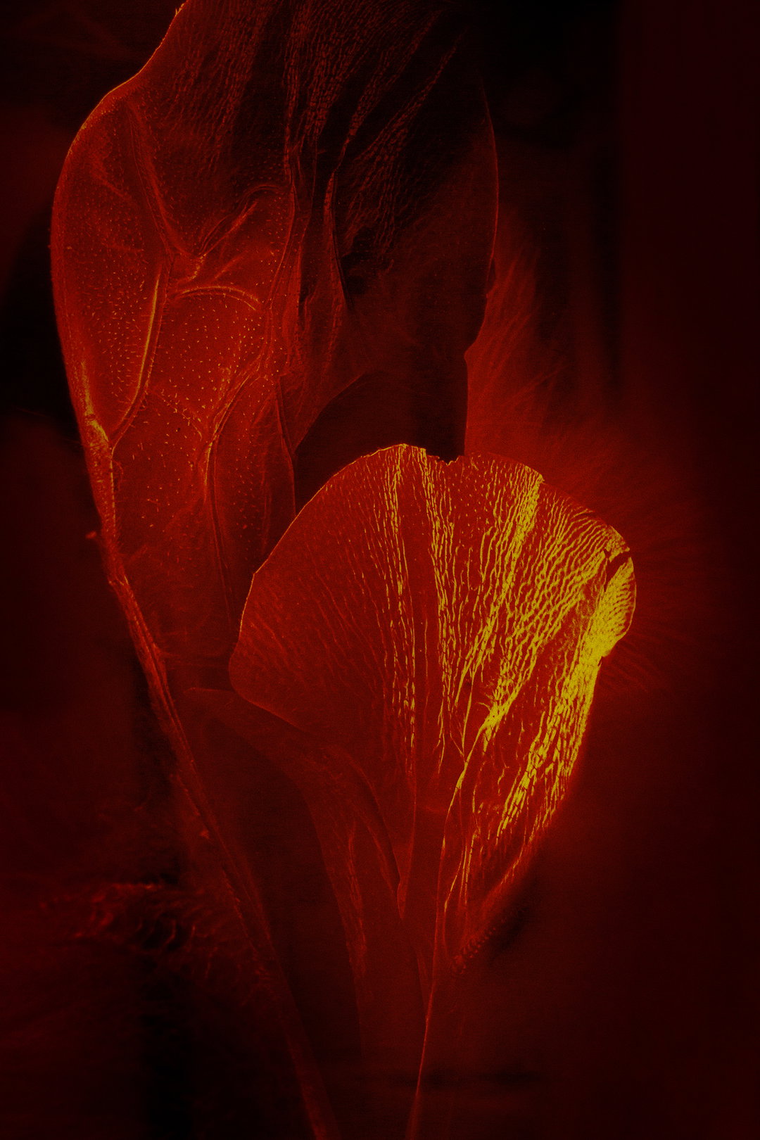 the-next-generation-2021-maewenn-bourcelot-photography-itsnicethat-3.jpg