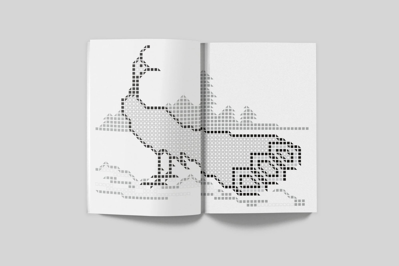 The Type covers the history, development, conventions and
