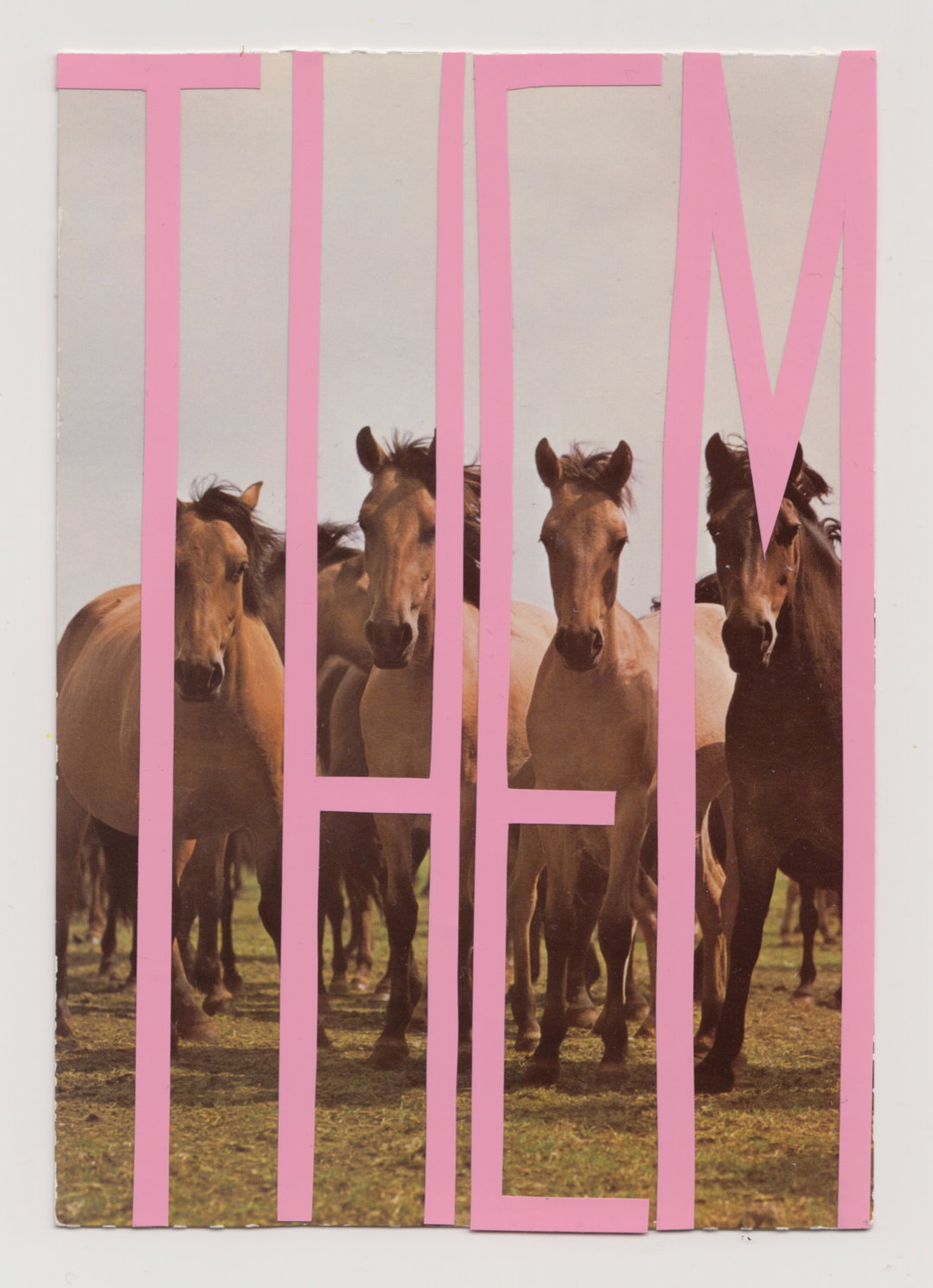 stef-mosebach-queer-horses-art-itsnicethat10