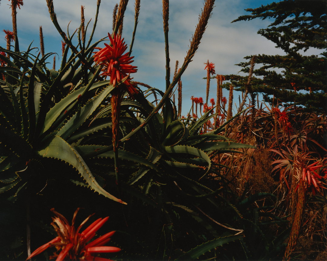 theo-de-gueltzl-photography-itsnicethat-07.jpg