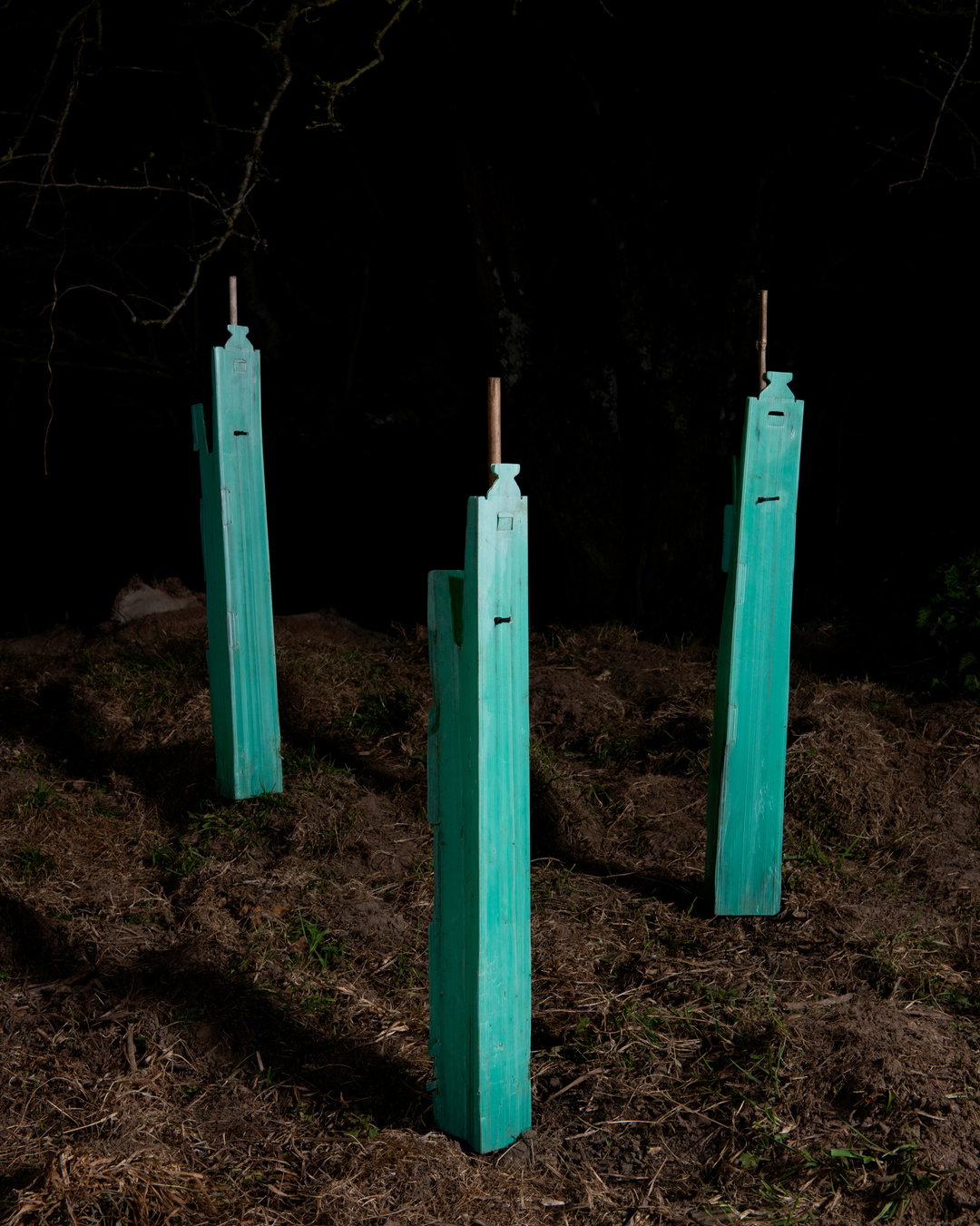 thomas-beck-photography-itsnicethat-11.jpg