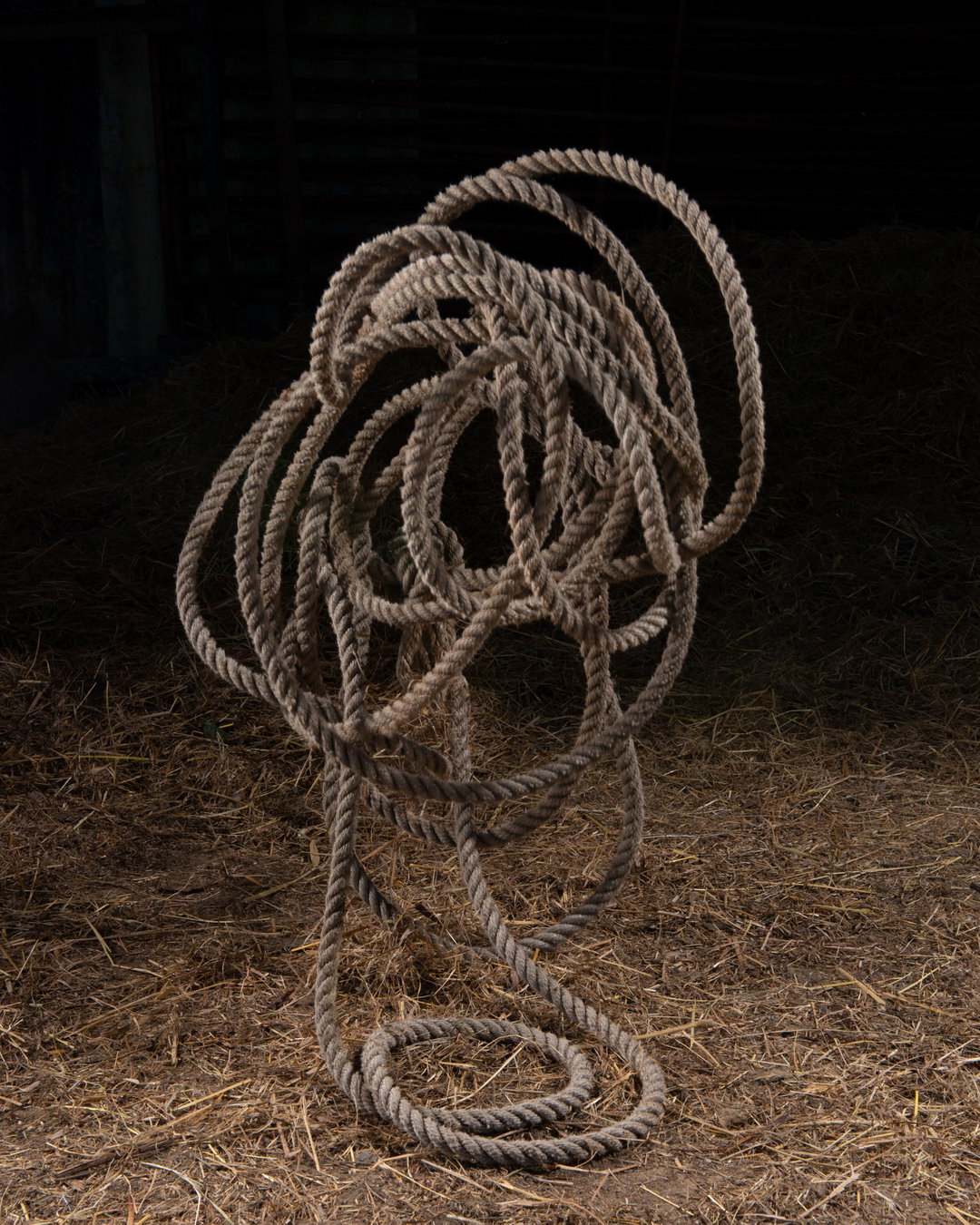thomas-beck-photography-itsnicethat-2.jpg