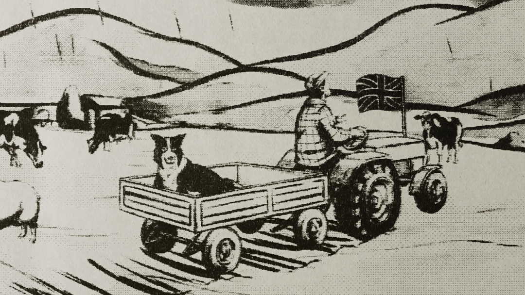 thumbnailcoop1.png