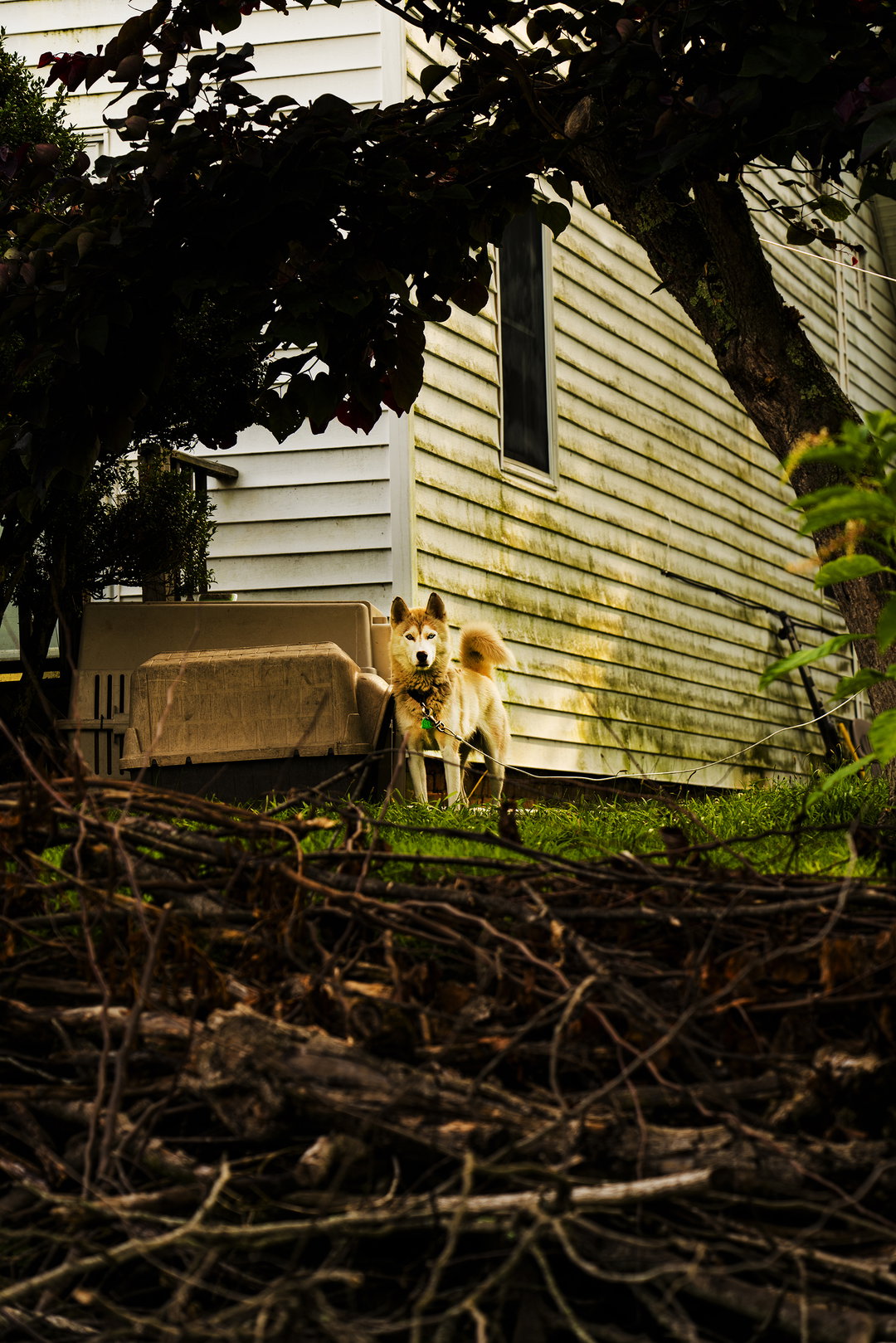 timothy_frazier-work-photography-itsnicethat-4.jpg
