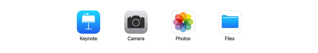 camila-falquez-photography-apple-new-world-creative-guide-its-nice-that.jpg