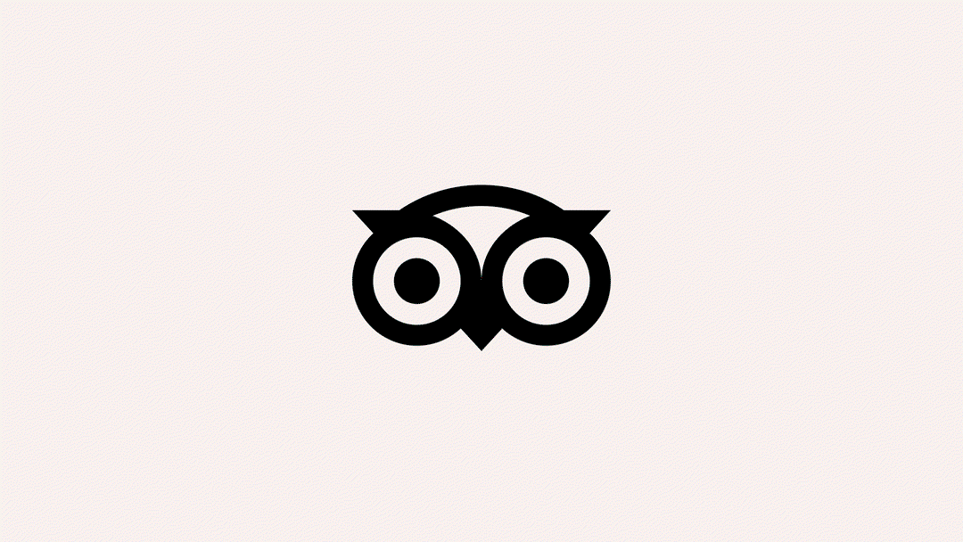 tripadvisor rebrand mother design graphic design itsnicethat.gif