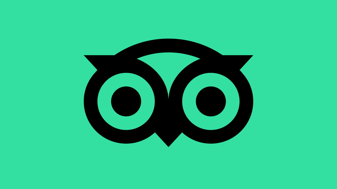 tripadvisor rebrand mother design graphic design itsnicethat1.jpg