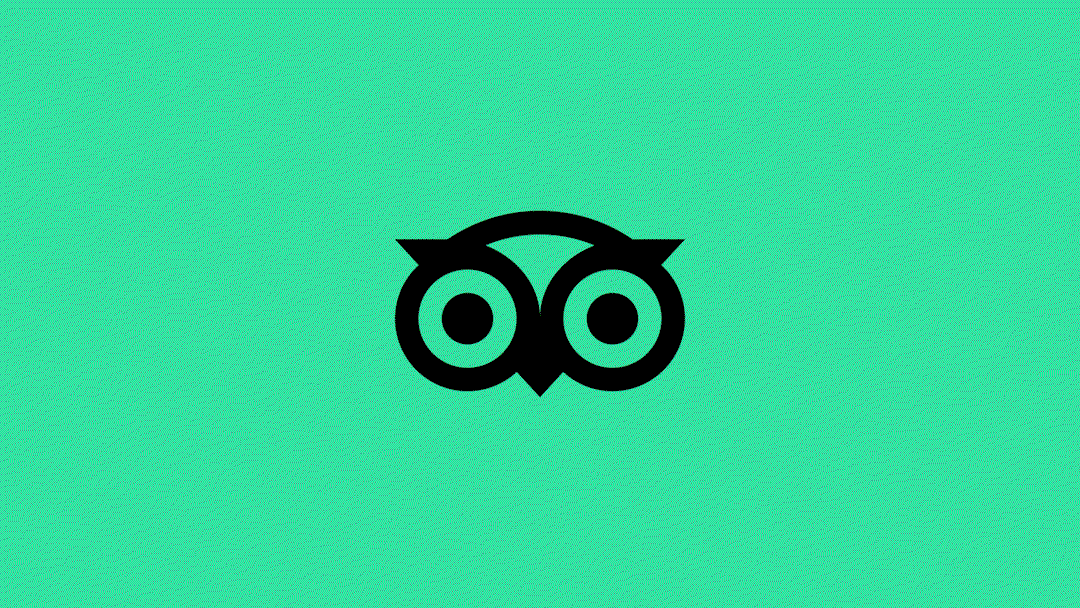 tripadvisor rebrand mother design graphic design itsnicethat6.gif
