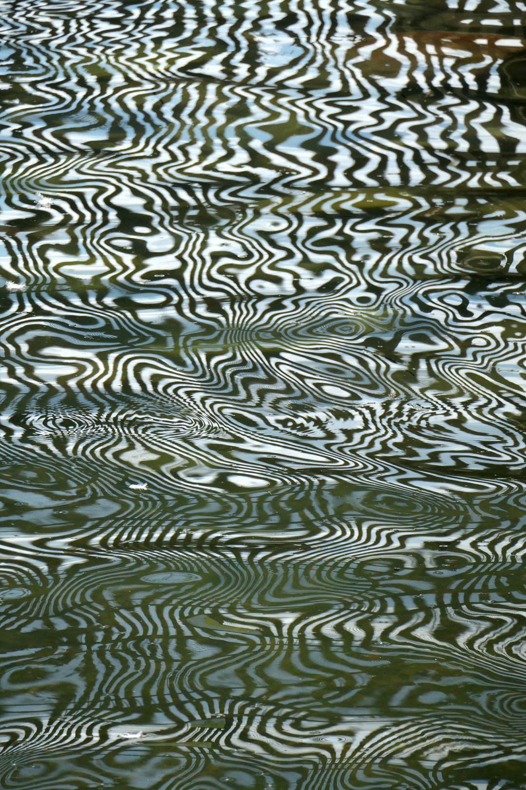 tyrone-williams-phosphorscent-digital-itsnicethat-06.jpg