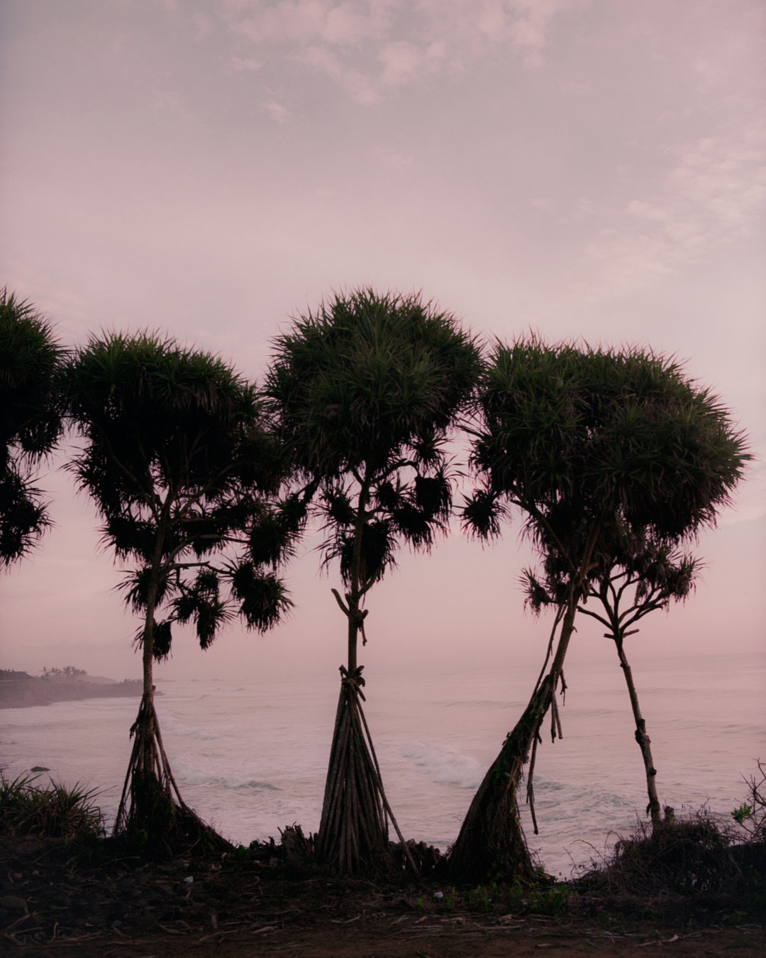 umit-savaci-photography-itsnicethat-04.jpg