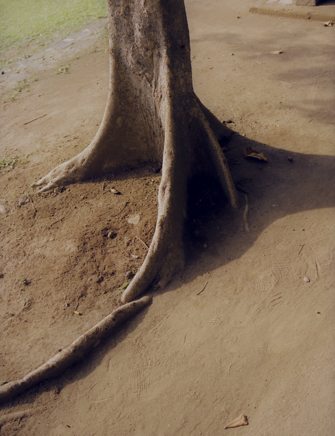 umit-savaci-photography-itsnicethat-09.jpg