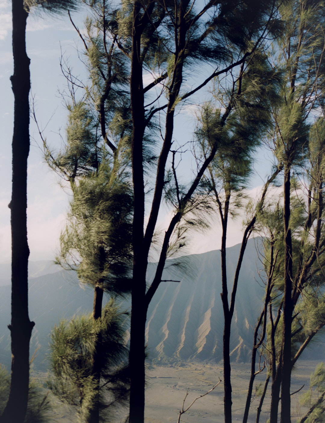 umit-savaci-photography-itsnicethat-10.jpg