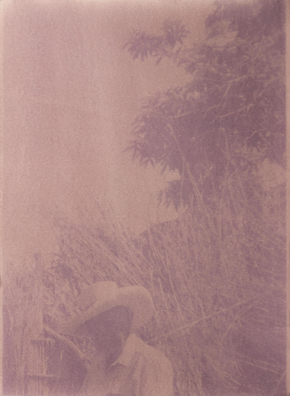 diana-guerra-fleeting-under-the-light-pho-itsnicethat-01