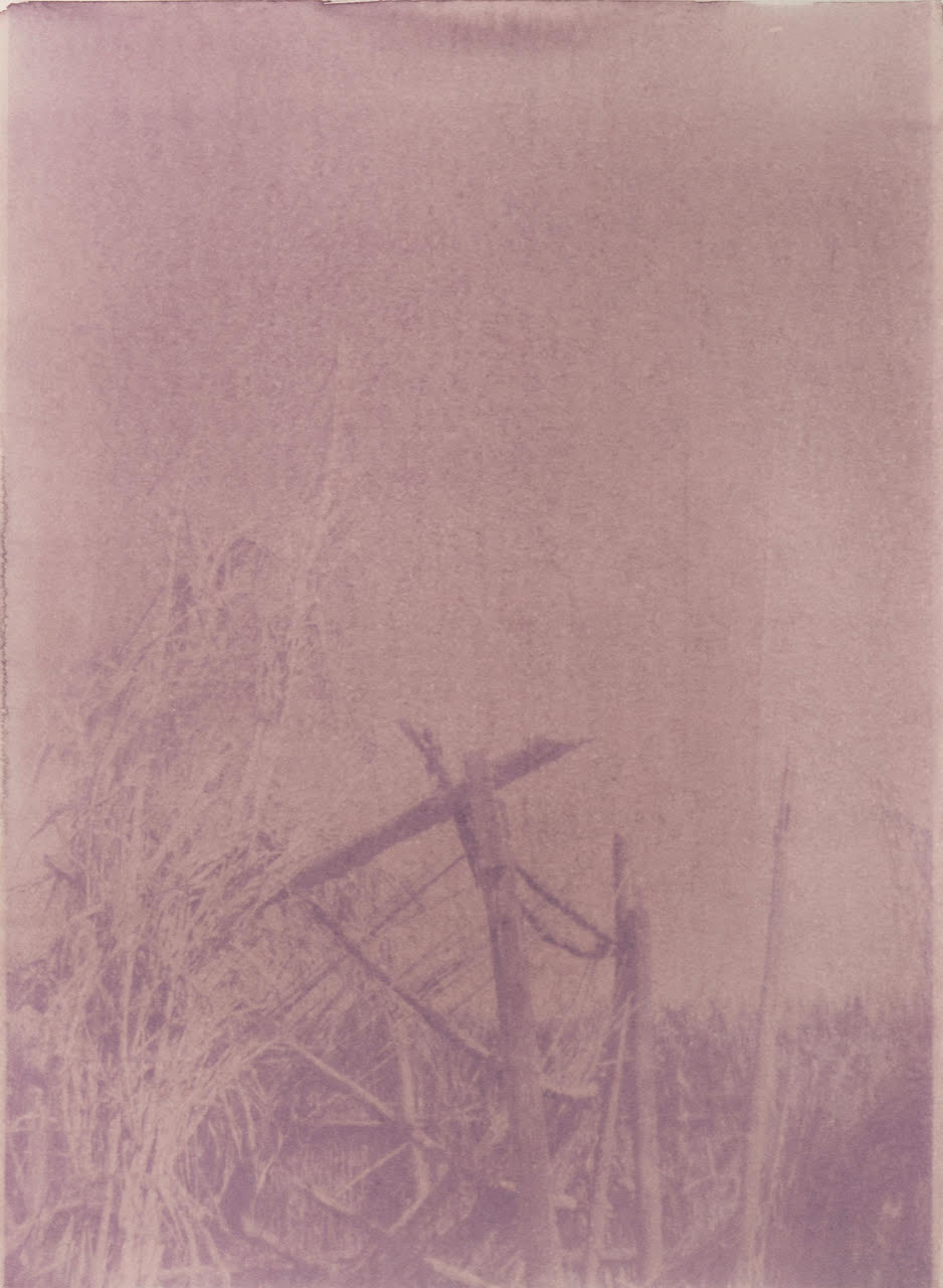 diana-guerra-fleeting-under-the-light-pho-itsnicethat-02