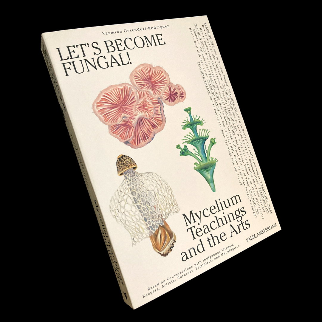 valiz_becoming fungal_10.jpg
