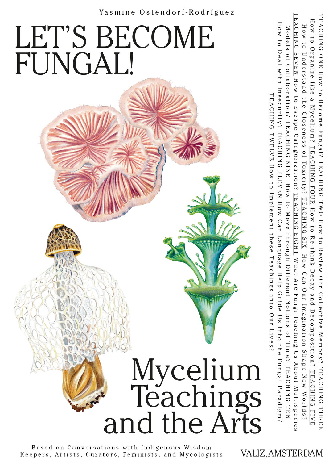 What can we learn from fungi? This beautifully illustrated book explores