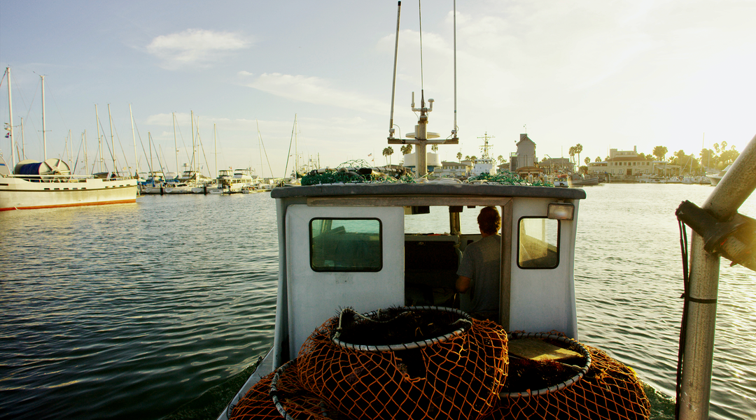 vimeo-stories-in-place-launch-animation-film-itsnicethat-morgan-maassen2.png