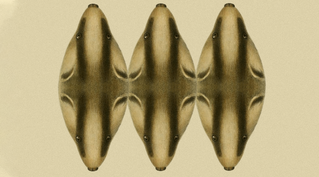 vimeo-stories-in-place-launch-animation-film-itsnicethat-reka-busci.png