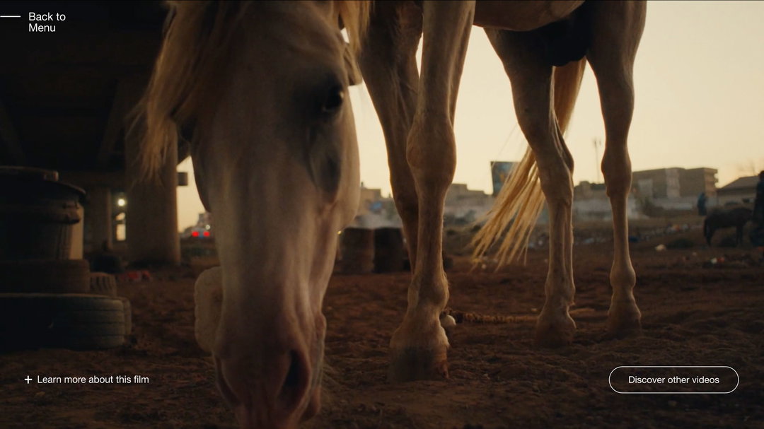 vimeo-video-matters-publication-itsnicethat-13.jpg