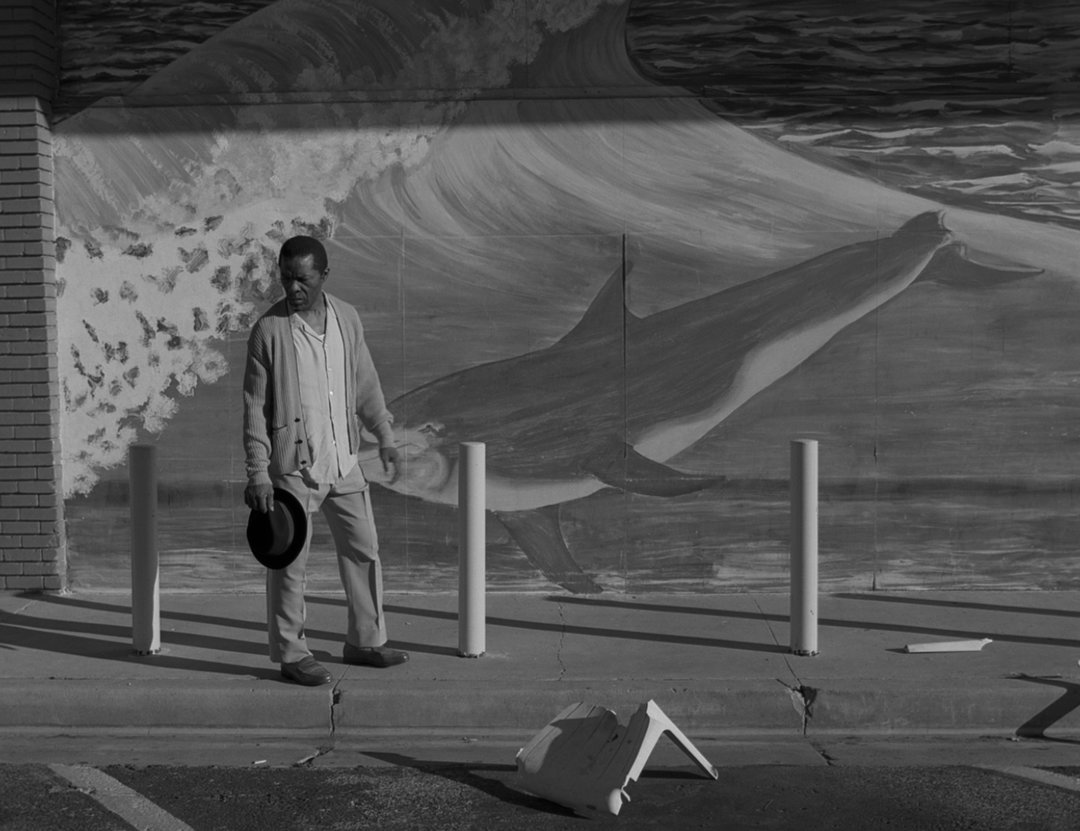 vincent-haycock-leonard-cohen-the-hills-film-itsnicethat-03.jpg