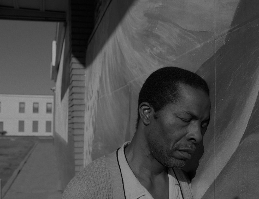 vincent-haycock-leonard-cohen-the-hills-film-itsnicethat-04.jpg
