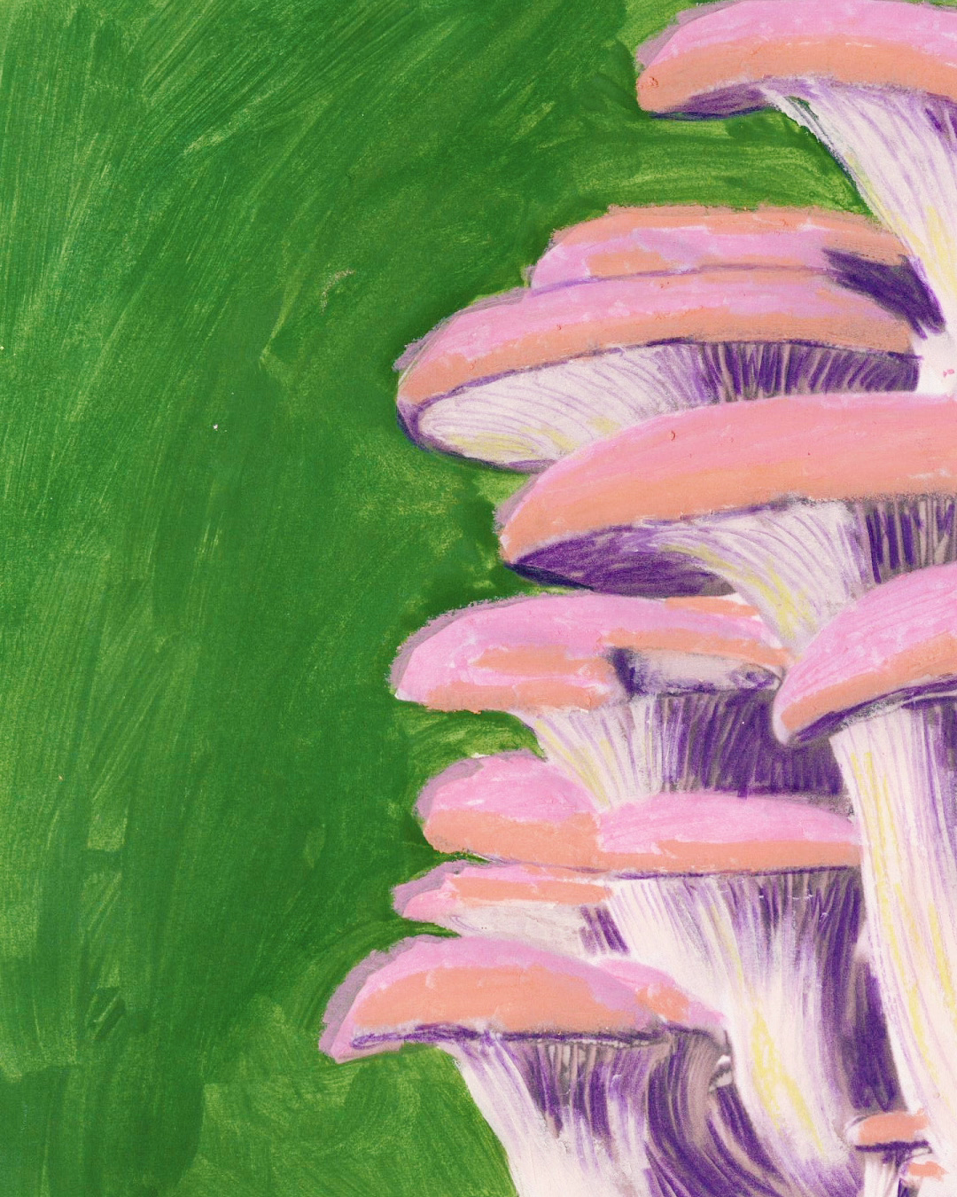 katy-wang-gabriel-greenough-ani-itsnicethat11