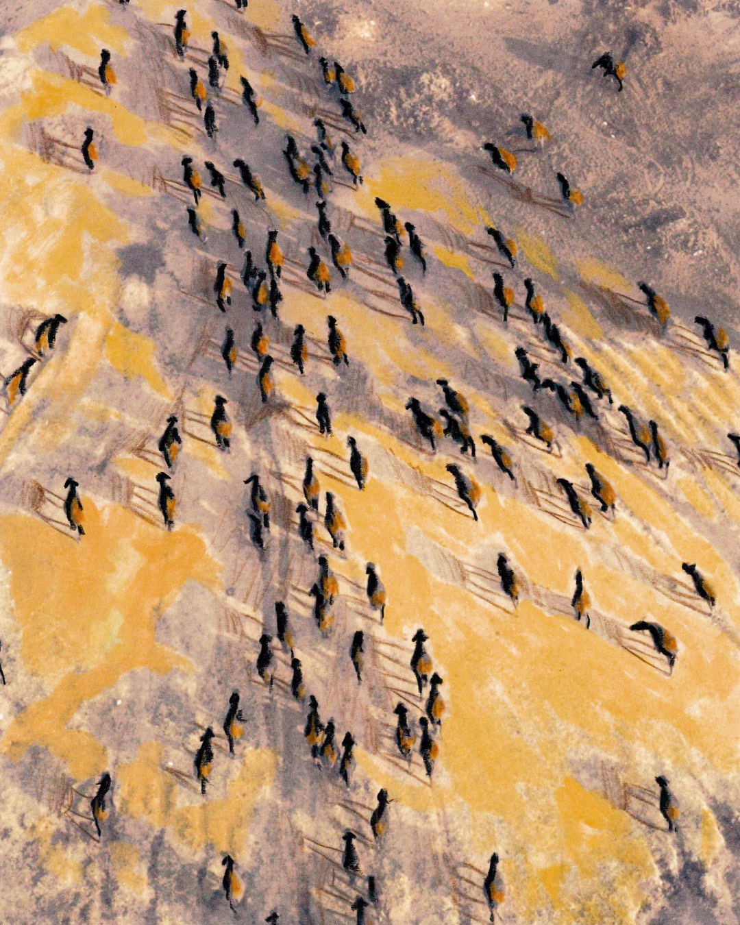 katy-wang-gabriel-greenough-ani-itsnicethat08