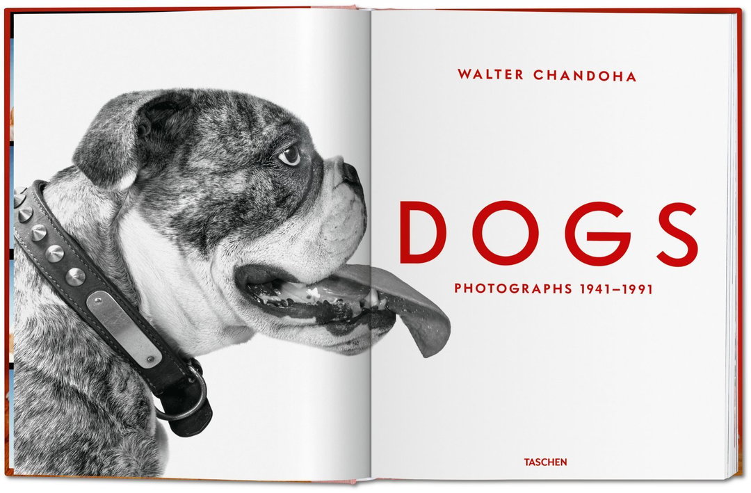 walter chandoha dogs taschen photography publication itsnicethat8.jpg