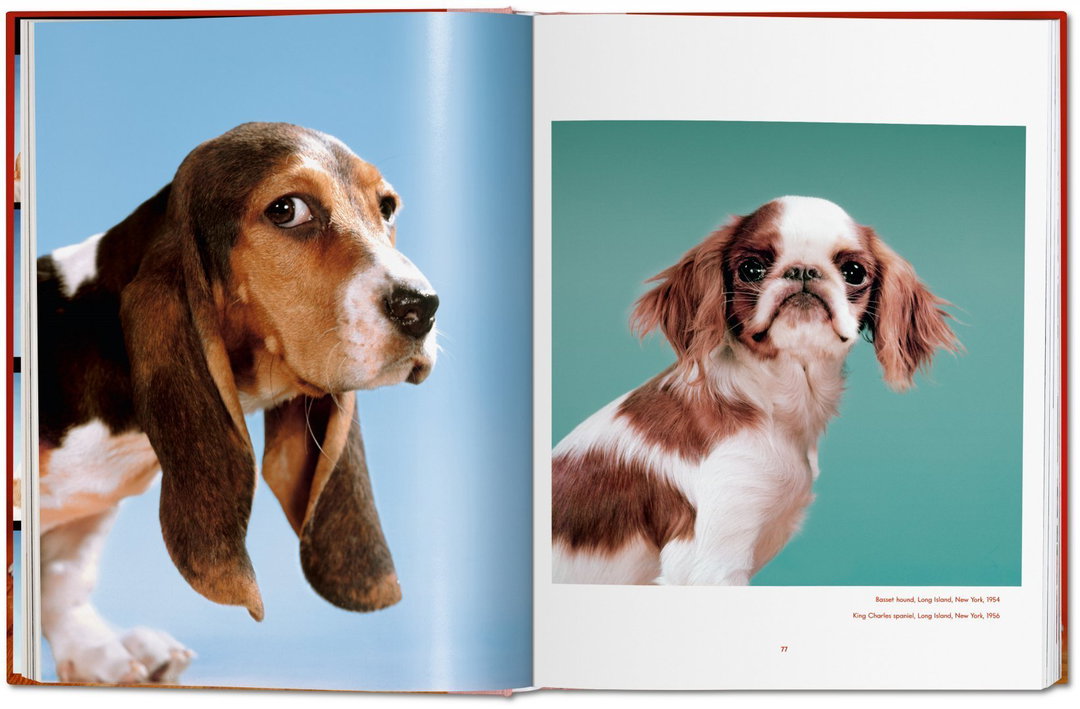 walter chandoha dogs taschen photography publication itsnicethat9.jpg