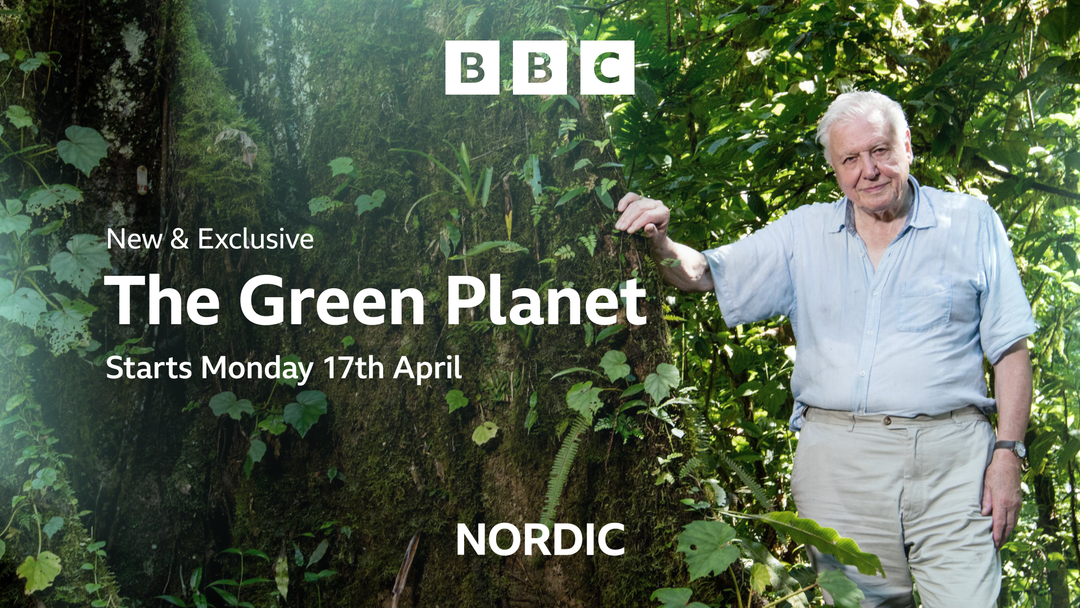 weareseventeen-bbc-nordic-graphic-design-itsnicethat-08.png