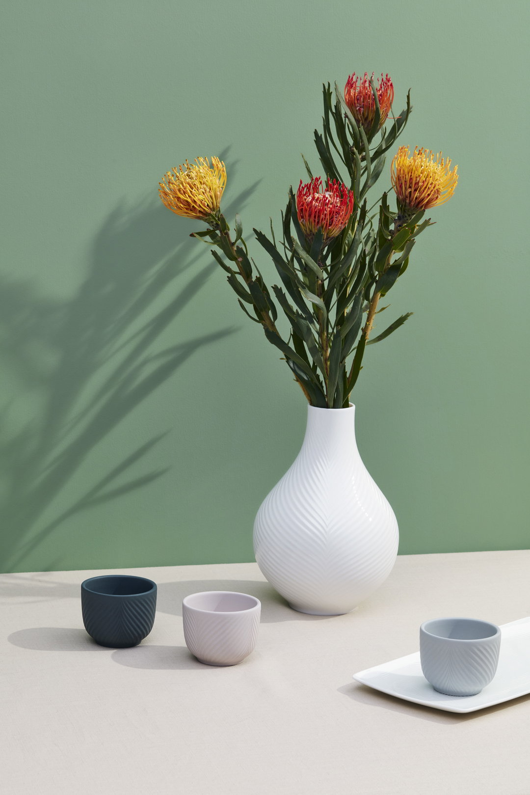 wedgwood jeremy liebman anomaly photography branding itsnicethat5.jpg