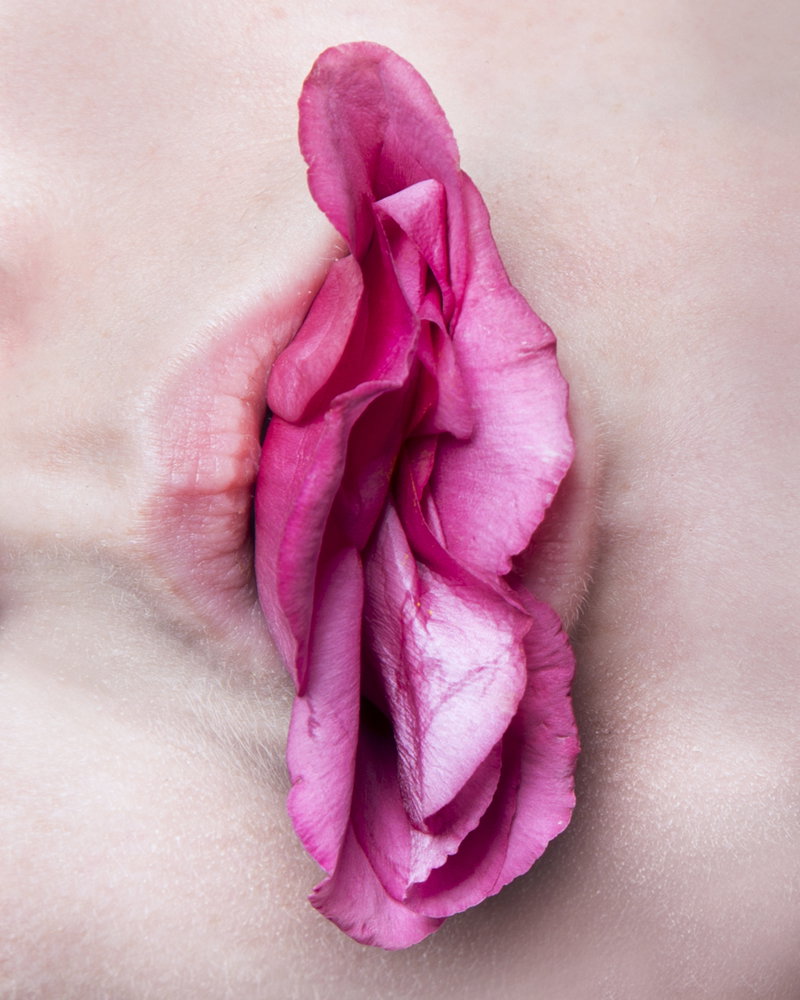 wieden kennedy the titty mag the intersection international womens day exhibition itsnicethat_Daantje Bons 'Rose Lips'.jpg
