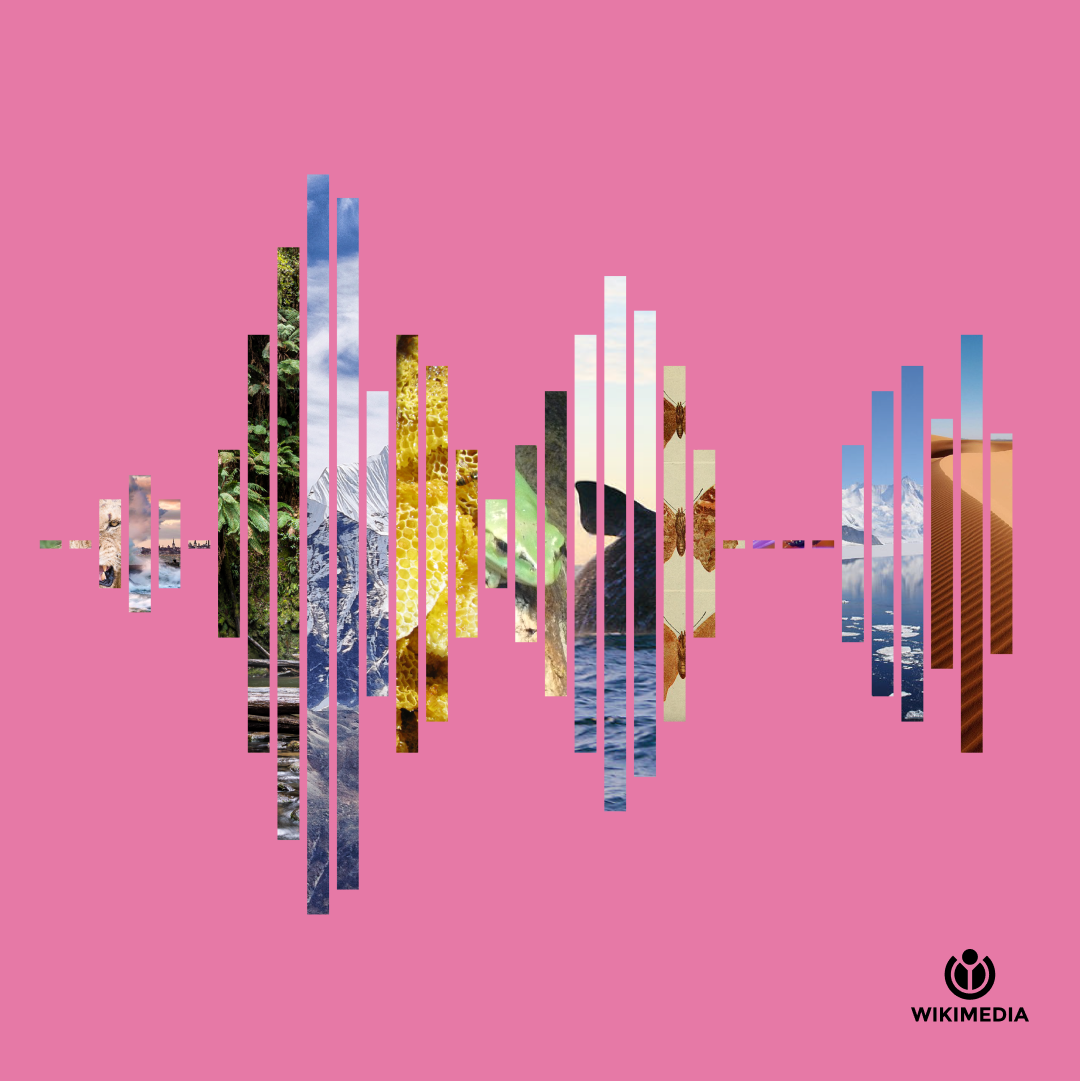 wikimedia-foundation-the-sound-of-all-human-knowledge-creative-industry-itsnicethat-1.png