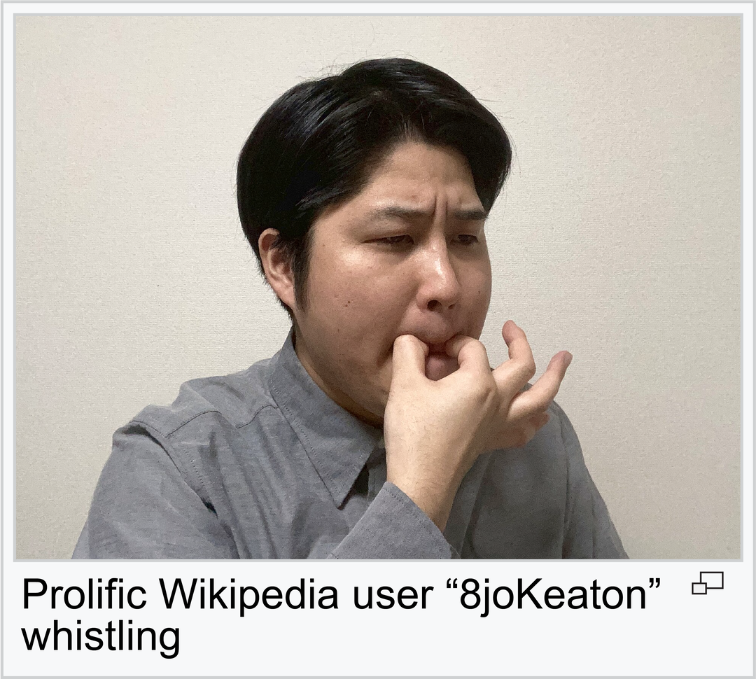 wikipedia-feature-itsnicethat-2.png