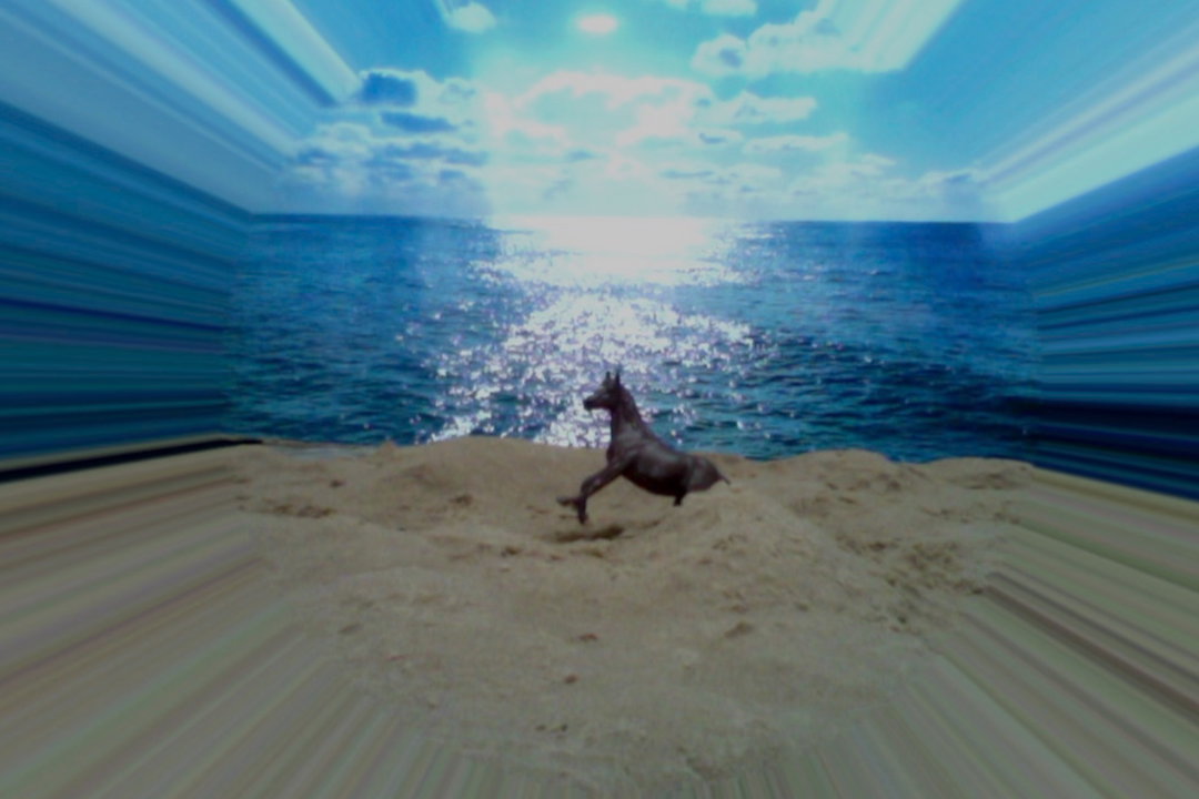 will-norman-film-itsnicethat-7.jpg