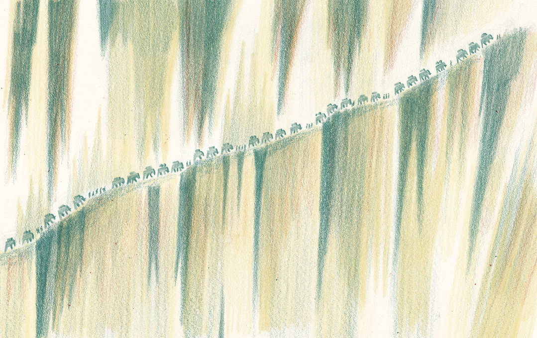 william-grill-bandoola-the-great-elephant-rescue-illustration-itsnicethat-03.jpg