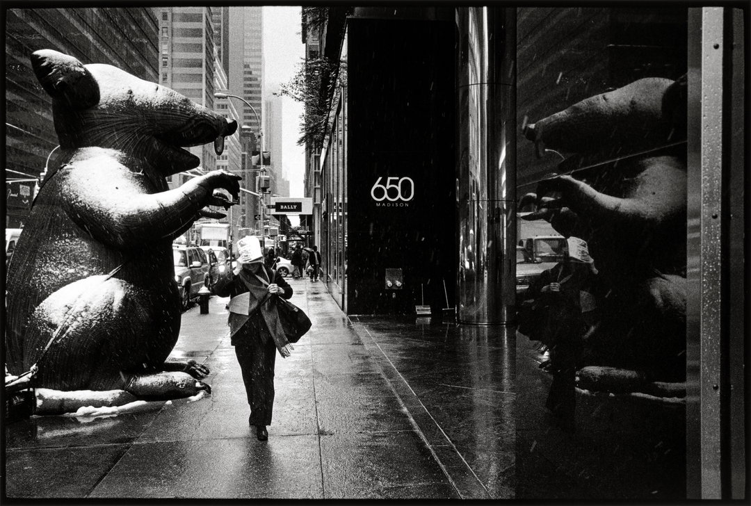 william-meyers-photo-itsnicethat-Union rat, Madison Avenue, Midtown, January 26, 2011.jpg