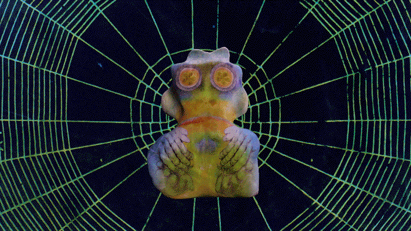 winston-hacking-art-itsnicethatAction-Bog-Web-Loop.gif