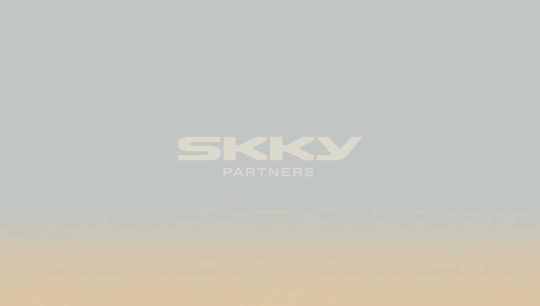 works-skky-graphic-design-itsnicethat-02.jpg