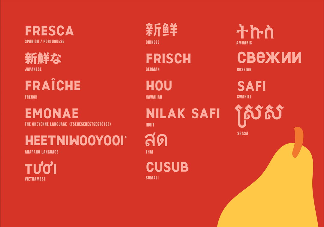 wunder-werkz-decatur-fresh-graphic-design-itsnicethat-05.jpg