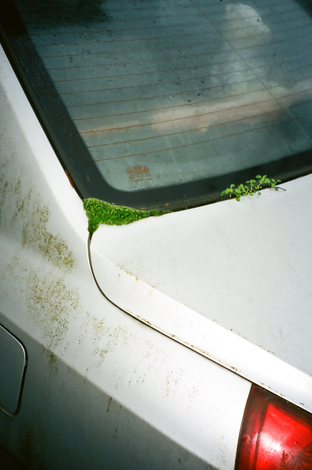 xavier-aaronson-buds-for-the-ages-photography-itsnicethat5.jpg
