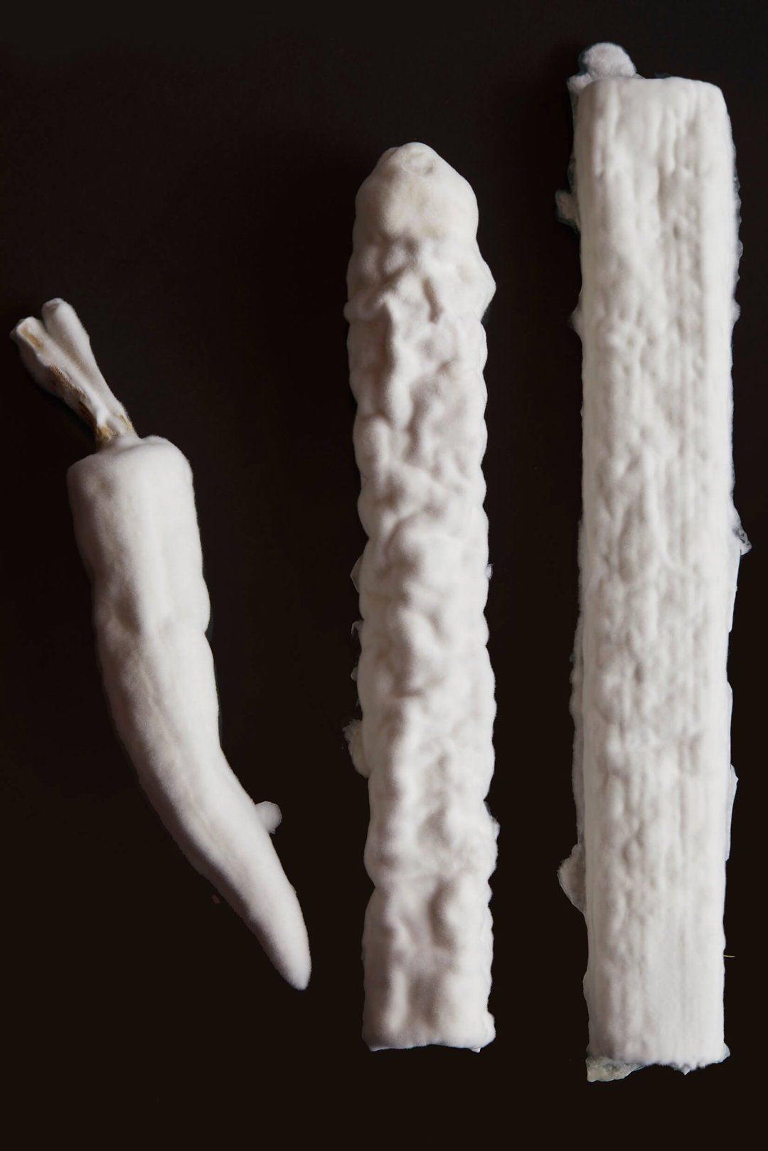 yan-co-rosi-graphic-design-itsnicethat-04.jpg