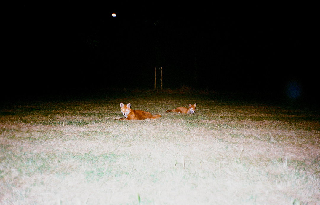 yasuhikoiida-photography-intitsnicethat2.jpg
