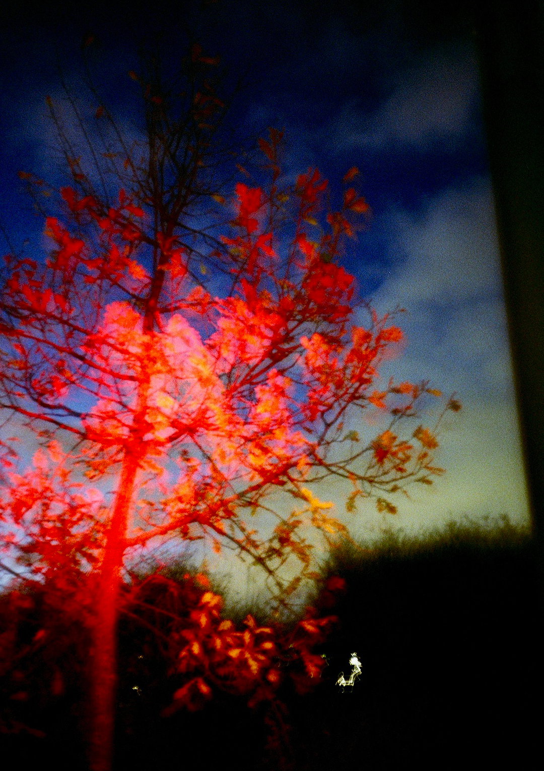 yasuhikoiida-photography-intitsnicethat3.jpg