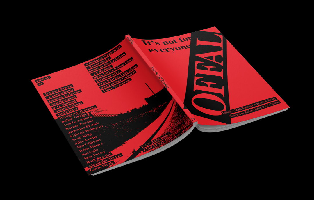 Offal is a zine designed by Richard Turley and Julia Schäfer using Microsoft Word