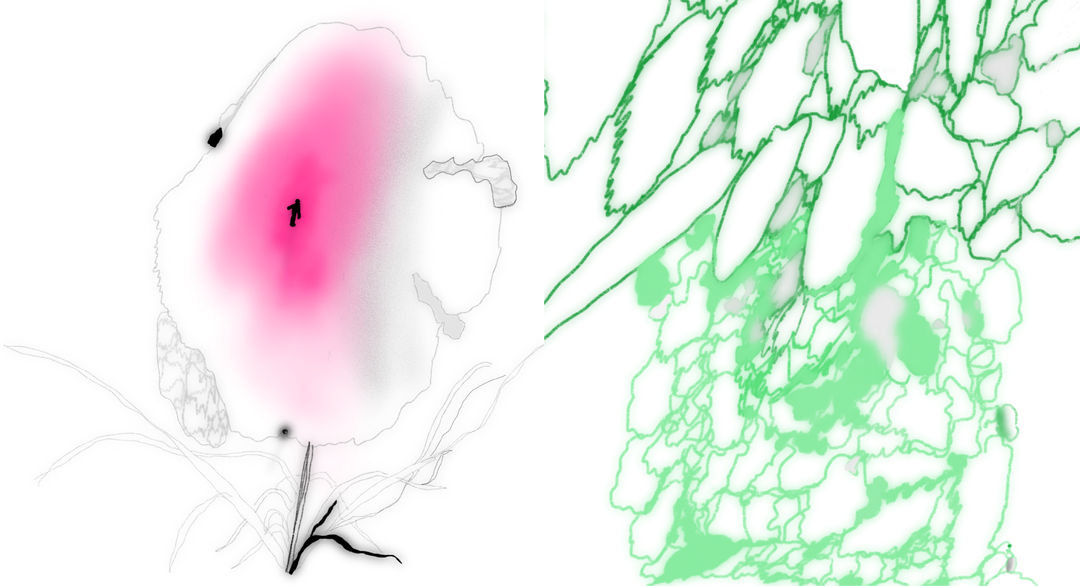 yimin-qiao-work-illustration-itsnicethat-10.png