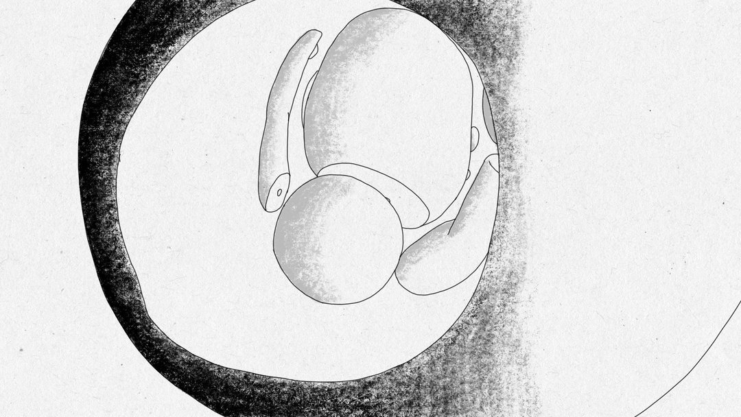 yinuo-shao-1x1x1-animation-itsnicethat-05.jpg